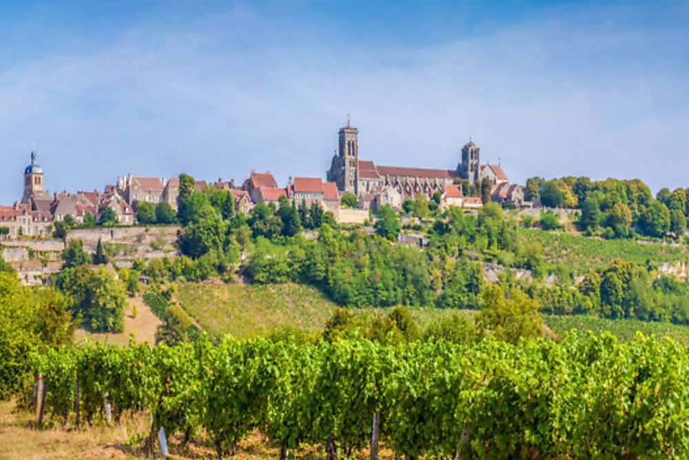 Eventi di salsa a Borgogna-Franca Contea