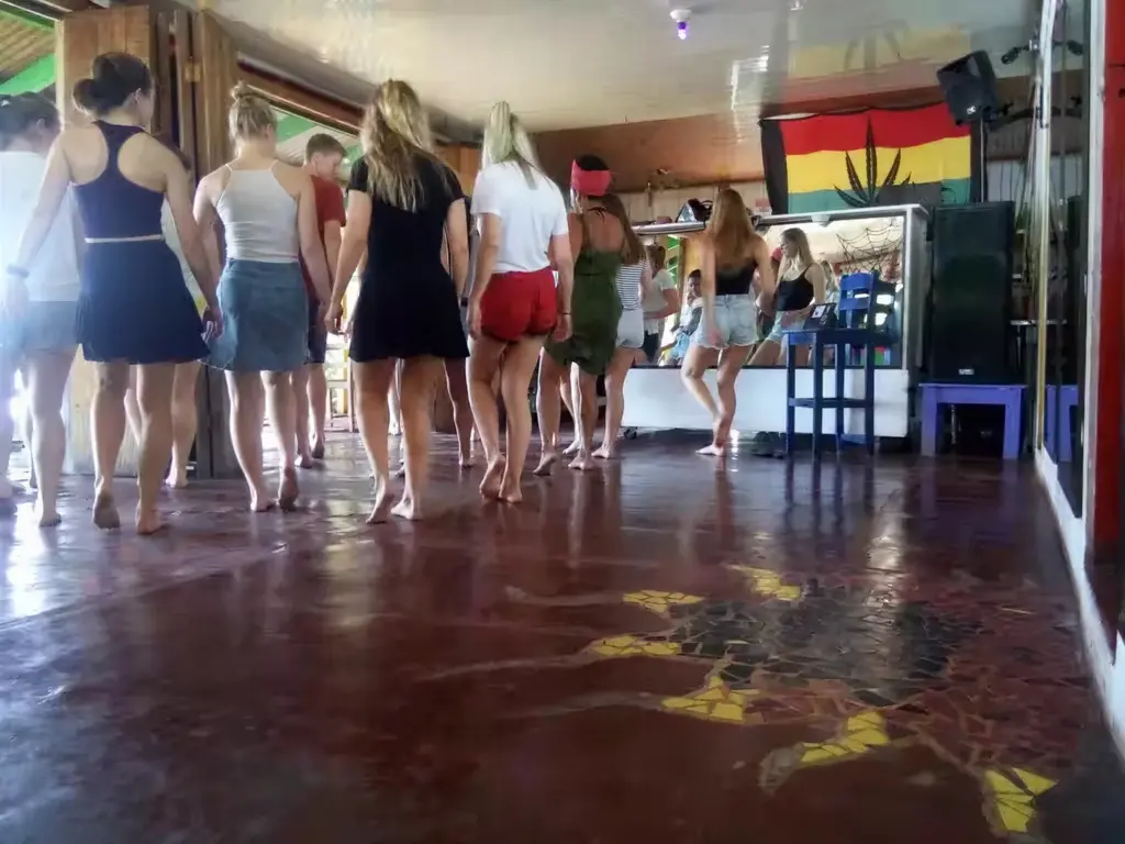 Afro Latin Dance and Culture Class